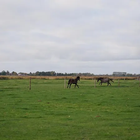 Sleep Space 2 - Ferienhof Janssen *